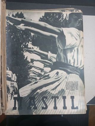 Lote 56 Revistas Mastil - Frente de Juventudes