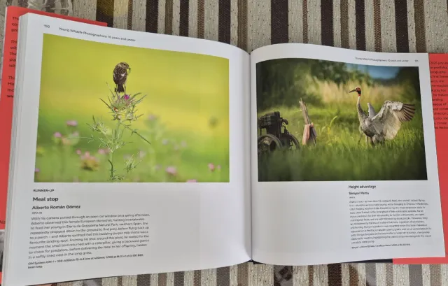 Wildlife Photographer of the Year: Portfolio 35