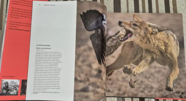 Wildlife Photographer of the Year: Portfolio 35