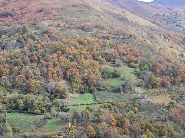 Finca Rústica en Venta