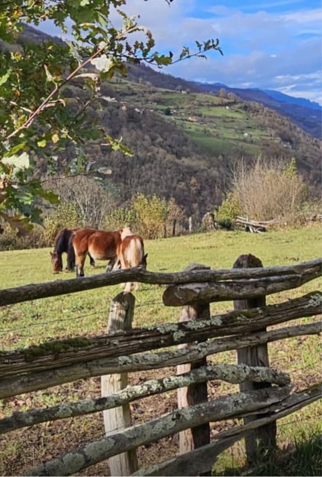 Finca Rústica en Venta