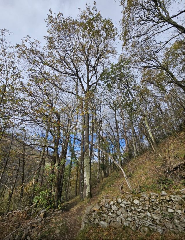 Finca Rústica en Venta