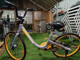 Bicicleta Paseo OBike Plata, ruedas tubulares,