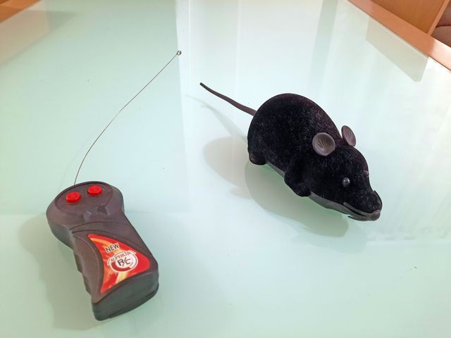 Ratón teledirigido de broma