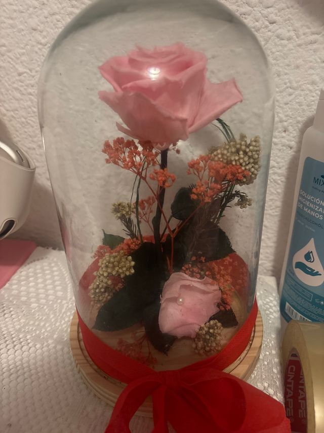 Rosa preservada en cúpula de cristal