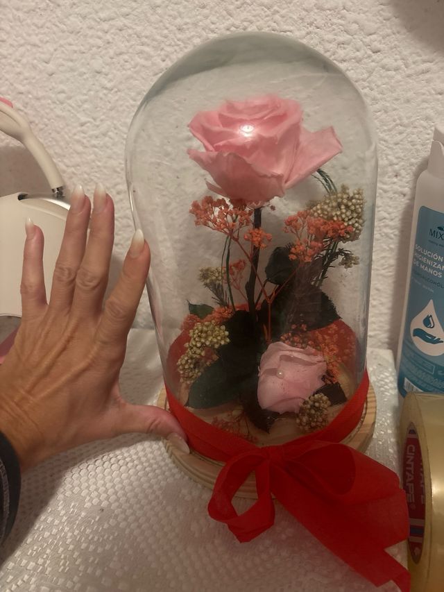 Rosa preservada en cúpula de cristal