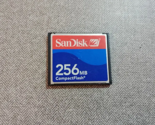 Carta CompactFlash SanDisk 256 MB