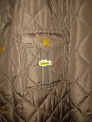 Cazadora guateada Lacoste marrón