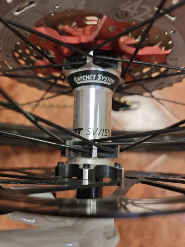 Rueda Delantera 29 Boost DT Swiss  -PREDICTIVE-