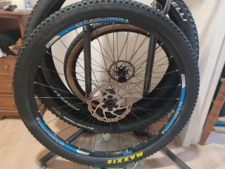 Rueda completa 29" Bontrager Mustang 15x100mm