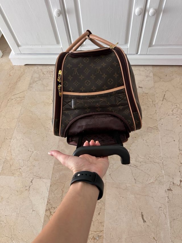 Borsa Louis Vuitton Marrone