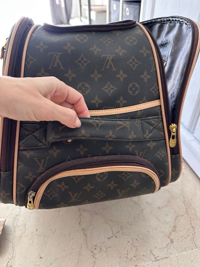 Borsa Louis Vuitton Marrone