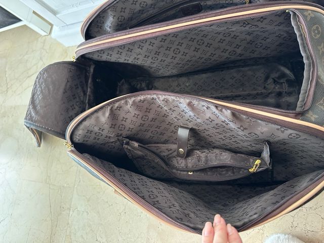 Borsa Louis Vuitton Marrone
