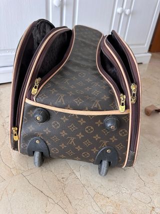 Borsa Louis Vuitton Marrone