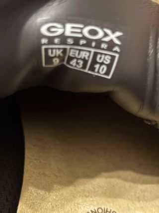 Scarpe Geox Respira marroni