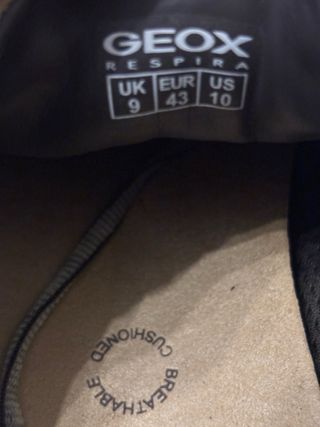 Scarpe Geox Respira marroni