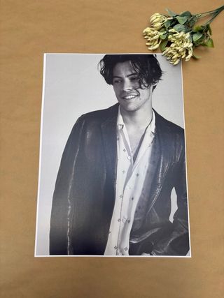Póster Harry Styles
