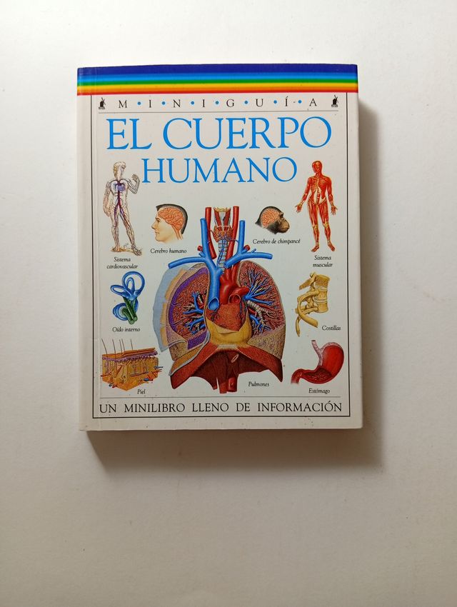 MINIGUÍA EL CUERPO HUMANO - EDITORIAL MOLINO
