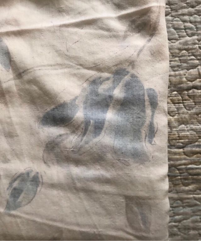 Lenzuolo matrimoniale + 2 federe