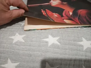 Vinilo Ramoncín - Al limite vivo y salvaje