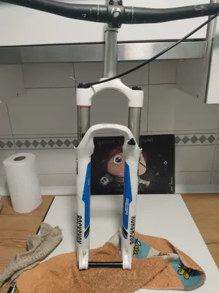 Rock Shox Reba RL Solo Air 29" 100mm excelente.