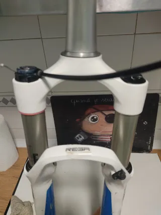 Rock Shox Reba RL Solo Air 29" 100mm excelente.