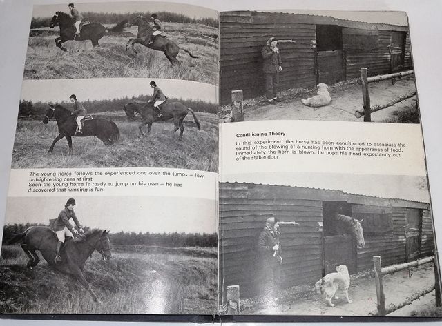 2 livros: Training the Young Horse; Horse Sense