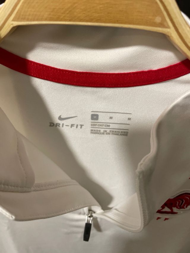 Jersey Francia Nike 1/4 Zip