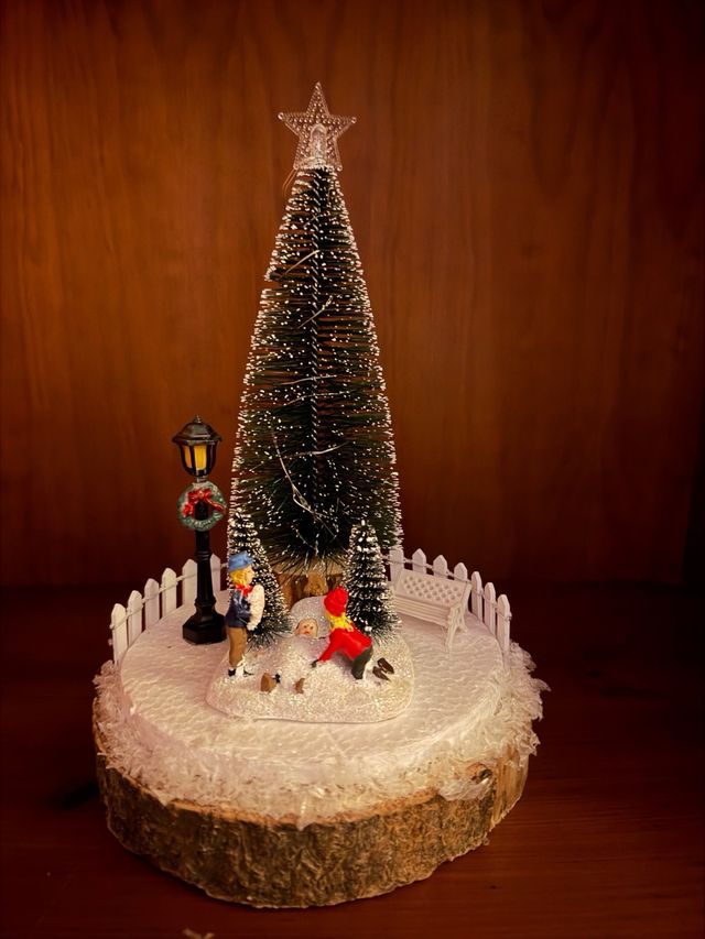 Centro Navideño con Luces