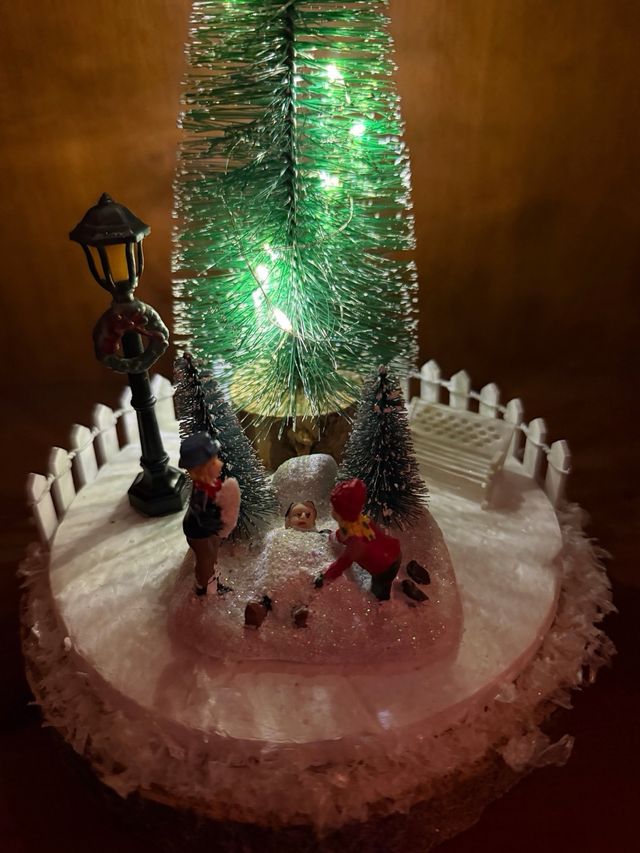 Centro Navideño con Luces