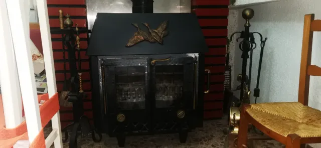 Estufa de leña metal y cristal