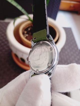 Reloj Monvis Plata y Verde