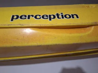 Kayak Perception Gemini