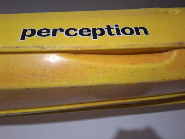 Kayak Perception Gemini