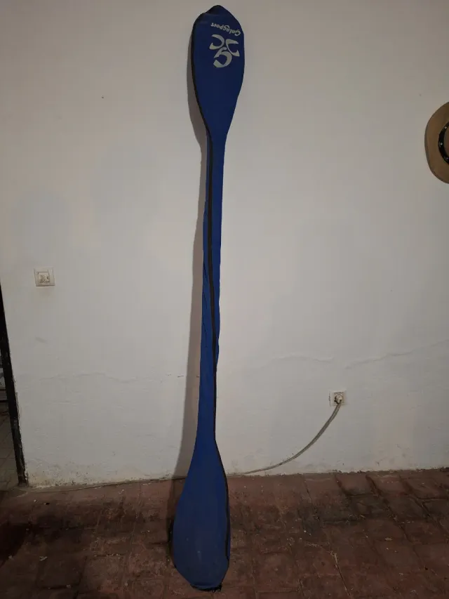 Kayak Perception Gemini