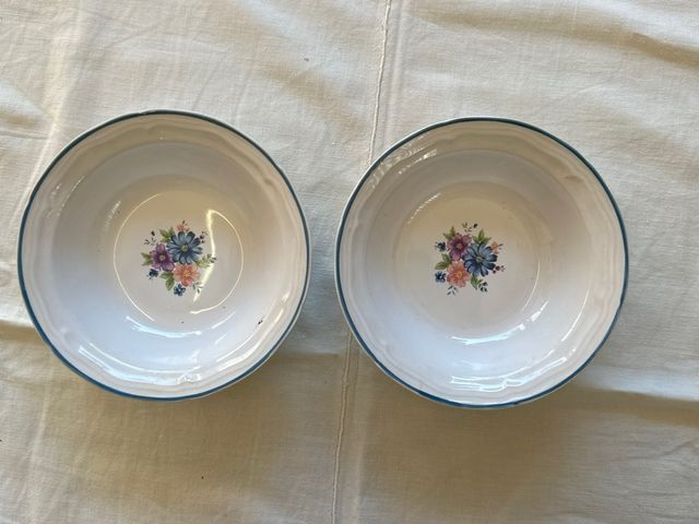 Coppia di ciotole floreali vintage