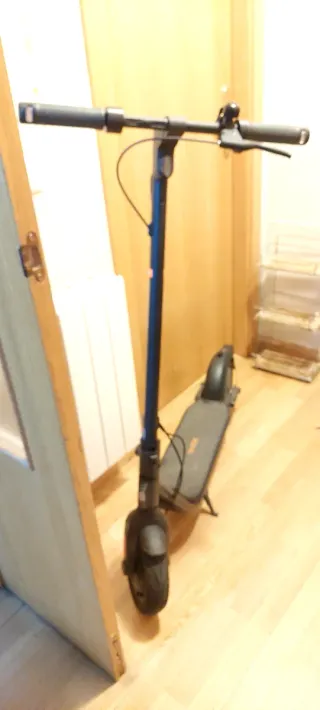 Patinete Eléctrico Segway-Ninebot F2 (2023)