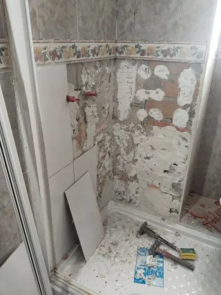 Cambio De Plato de ducha