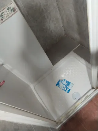 Cambio De Plato de ducha