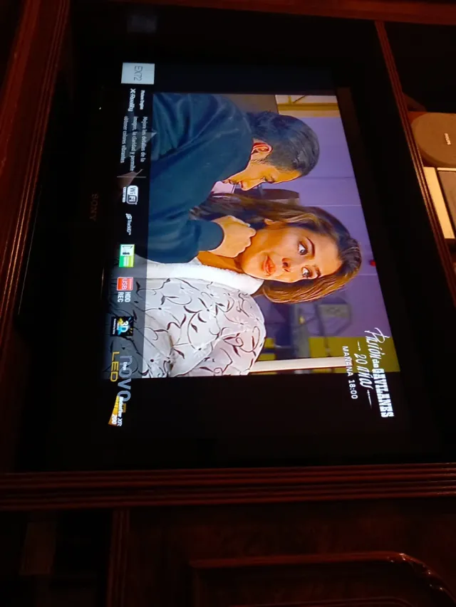 Televisor Sony Negro y Marrón