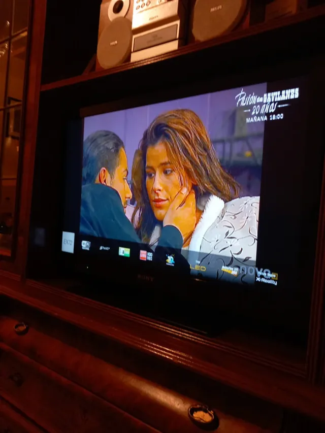 Televisor Sony Negro y Marrón