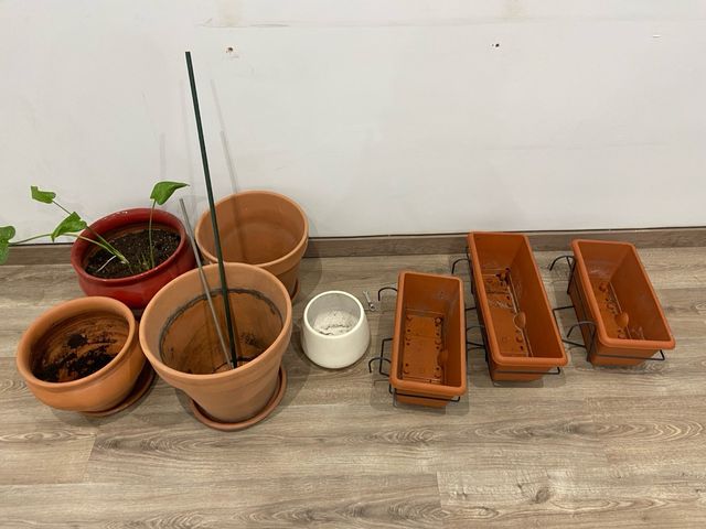 Lote Macetas Terracota y Plástico