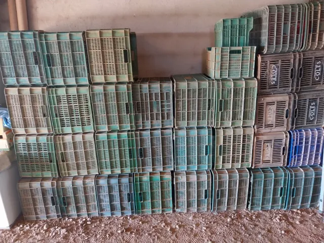 Cajas de plástico apilables regalo