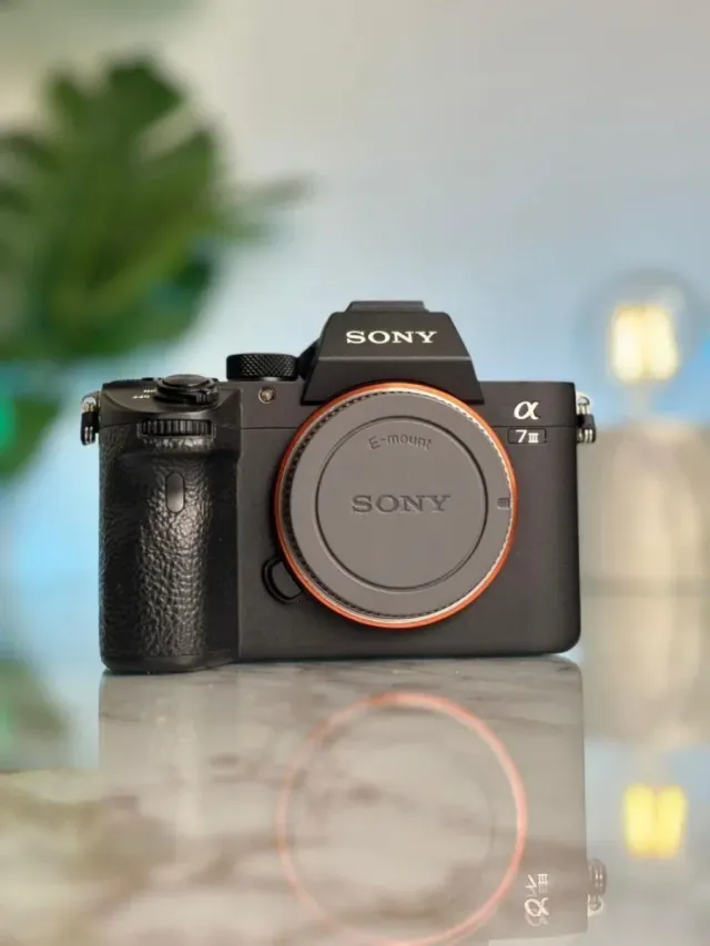 Sony A7 III 6K scatti