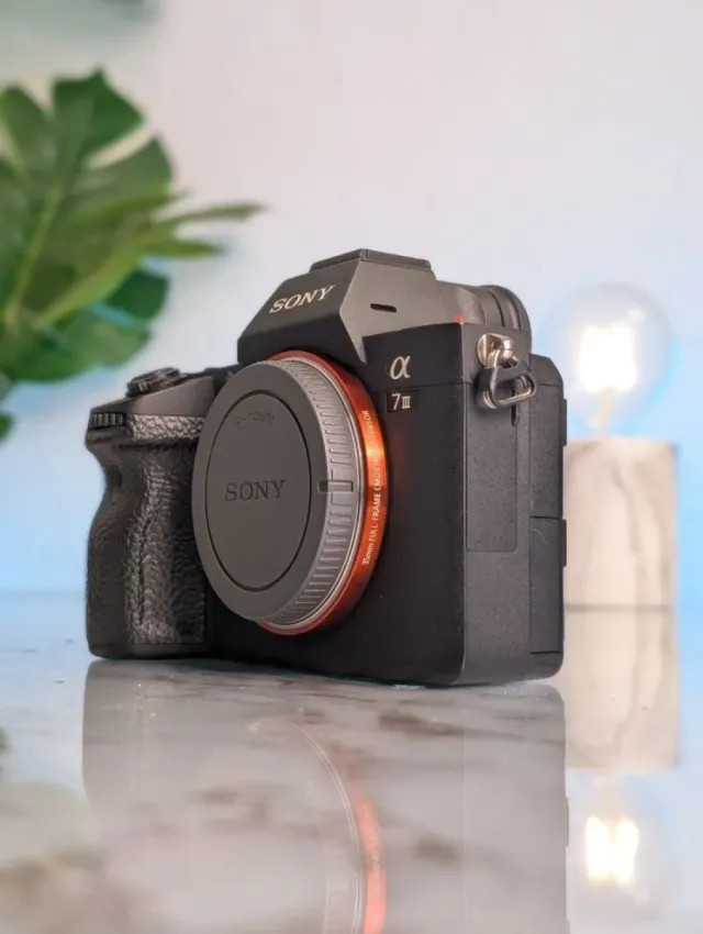 Sony A7 III 6K scatti