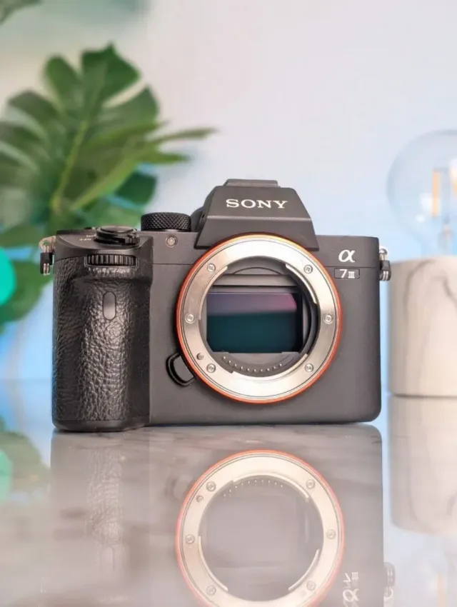Sony A7 III 6K scatti