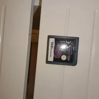 Gioco Nintendo DS RPG