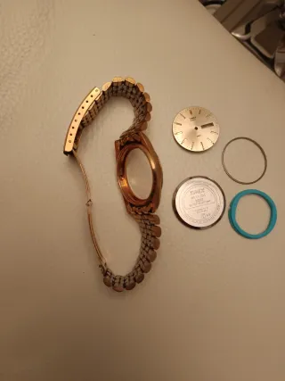 Cassa e cinturino Timex