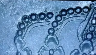 Error moneda España 25pts 1984