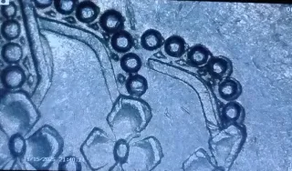 Error moneda España 25pts 1984